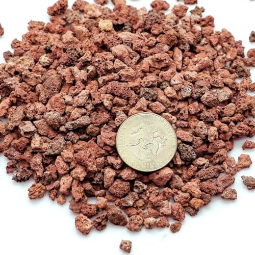 TOYPOPOR 6lb Red Lava Rocks Soil for Plants, Bonsai Cacti Succulents Horticultural Stones, Natural Decorative Volcanic Drainage Gravel for Vase Fillers, Terrarium, Top Dressing, Landscaping, Gardening - color: Horticultural Lava Rock, size: 6 lb