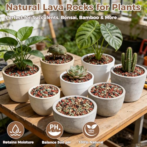 44lb Mix Lava Rocks for Plants 1/4" Horticultural Pumice for Plants, Succulent Cactus Soil Potting Mix - Horticultural Sand Aquarium Gravel Drainage Rocks for Potted Plant, Bonsai Soil, Top Dressing - size: 1/4 Inch