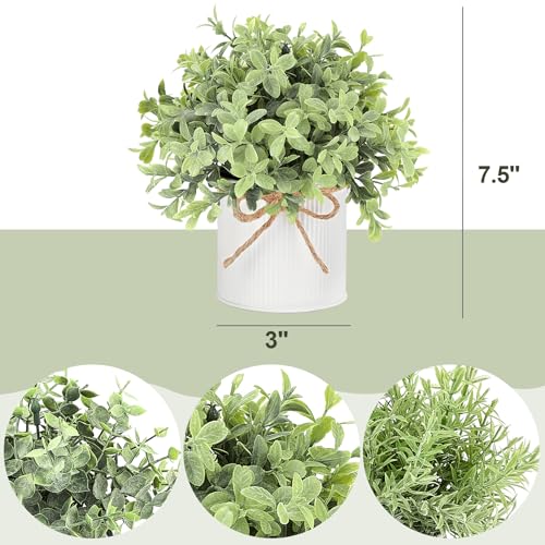 Mkono Fake Plants in Farmhouse Galvanized Metal Pots Table Centerpiece Rustic Home Decor, 3 Pack Potted Artificial Plants Faux Eucalyptus for Shelf Indoor Dining Room Office - color: White, size: 3 inch