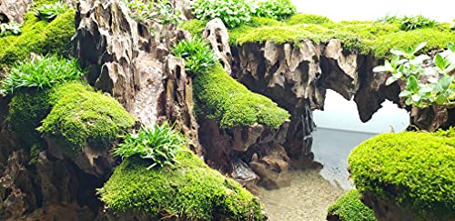Lifegard Dragon Ohko Aquarium Rock Small and Medium Size Stone 40 Lbs Case Qty, Brown