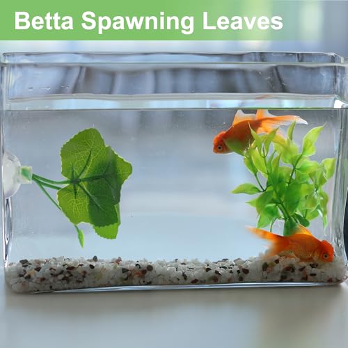 Betta Fish Leaf, Natural Habitat Simulation for Betta Spawnings Grounds, Betta Spawnings Leaves, Resting Bed, Large and Small Leaves, Green