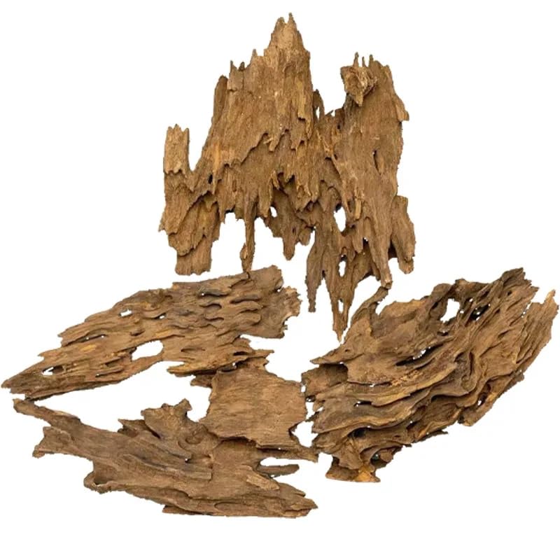 Fish Tank Natural Porous Wood Driftwood Ornament for Aquarium Decoration Hermit Crabs Shrimp Fish Aquarium Accessories… (20-25cm) - color: 20-25cm