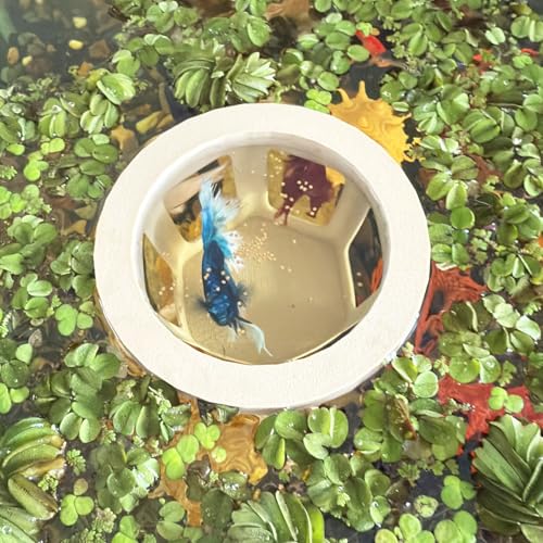 HOZOE Aquarium Betta Hammock, Betta Hideout & Cave, Floating Feeding Ring for Fish and Shrimp, Aquarium Floating Decoration Accessory (Wood Color) - color: Wood color