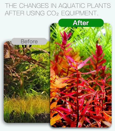 Aquarium CO2 Generator Complete kit with 600g +600g raw Materials,4L G802S - color: G802S