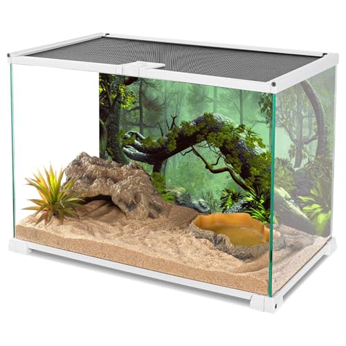 AWERT 30x18 inches Foggy Forest Terrarium Background Stone Green Tree Tropical Reptile Habitat Background Rainforest Aquarium Background Durable Polyester Background