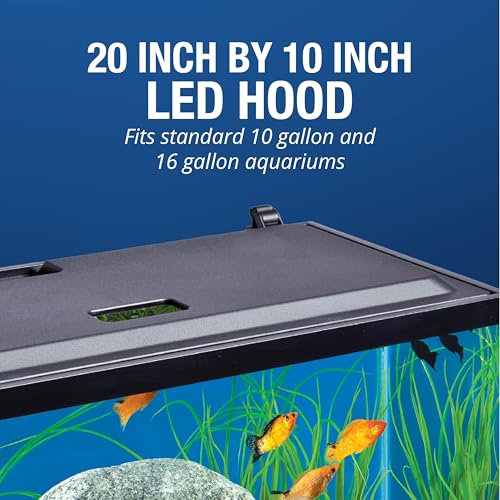 Tetra LED Aquarium Hood 20 in x 10 in, Low-Profile Fish Tank Cover | With Hidden Lighting - size: 20 Inch