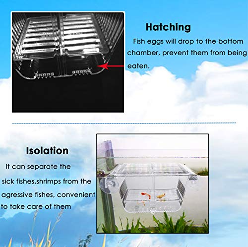 Fish Breeder Box Fish Hatchery Floating Fish Breeding Box with Removable Grating Perfect Fish Tank Divider for Agreesive Injured Pregnant Fishes - size: L