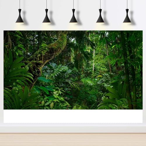 3 Pack Reptile Habitat Background Sunset Desert Terrarium Background Jungle Forest Terrarium Background Gobi Sunshine Cactus Stone Tank Terrarium Background Rainforest Reptile Background 36x18in