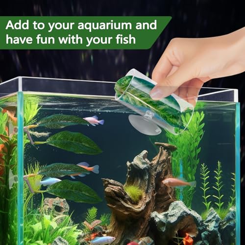 5 Pieces Acrylic Betta Fish Tunnel Tube with Suction Cup, Tank Accessories Leaf Pad Habitat Shelter Hideaway with Hollow Design for Better Observation (Style 2)