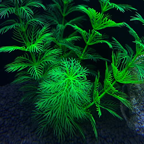 Artificial Aquarium Plants Plastic, Fake Plants for Aquarium Fish Tank, Realistic Plant 10PCS - color: 10pcs Green