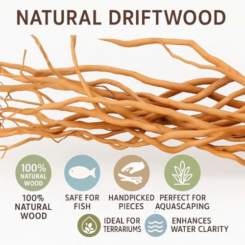 Azil Natural Aquarium Driftwood Root – Driftwood for Aquarium Decor, 170g~0.38lb (14″–16″), Fish Tanks, Terrariums, Aquascaping & Planted Tanks - size: Root mix 14 - 16 inch