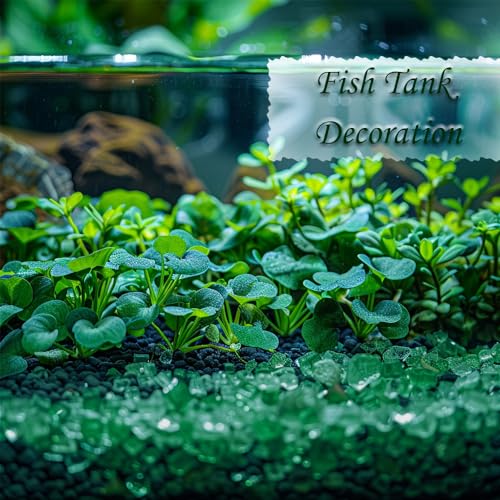 HappyFiller Crushed Glass for Resin Art,Broken Piece Granules,Craft Project,Vase Fillers Candle Holder Aquarium Fishbowl Decor, Succulent Terrarium Pebble Stones,Fire Pit Fireplace,Dark Green 1.3LB - color: Dark Green