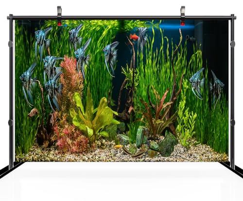 CHNYWORK 59x39 Inches Fish Tank Tapestry Wall Hanging Aquarium Underwater Grass Leaves Aquatic Plant River Stone Bed Lake Fish Background Living Room Bedroom Aesthetic College Dorm Wall Decor - size: 59''x39''