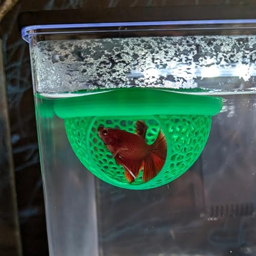 Floating Betta Hide & Shrimp Cave – 3D Printed Aquarium Hammock, Feeding Ring & Resting Spot for Betta Fish, Shrimp & Small Fish (Eco-Safe PLA) - color: Green
