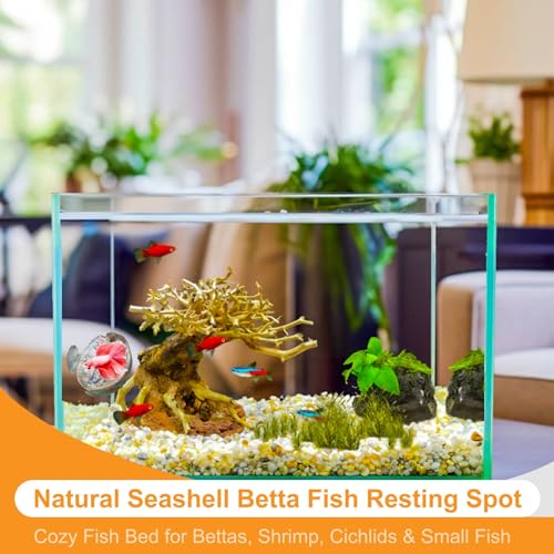 2Pcs Betta Fish Resting Spot Bed Shell House Dual Habitat Aquarium Hideout Toys for Beta Fish Floating Beds and Tank Hides Seashell Hide Accessories with Hammock Resting Spots and Hiding