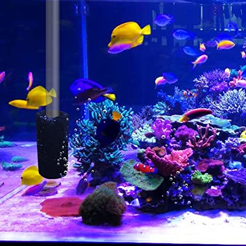 Bivethoi 4 Pcs Pre-Filter Foam Sponge Roll, Aquarium Intake Filter Media Sponge, Compatible Filter Accessories for Aquarium Fish Tank (Black)