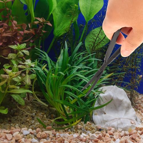 Toddmomy Professional Aquatic Plant Scissor Tool for Fish Tank Trimming Scissor Curved Design for Pruning Aquatic Plants Easy to Use and Store for Aquascaping and Terrariums