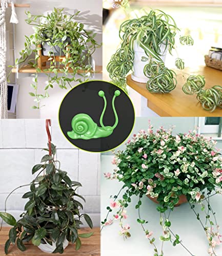 50PCS Plant Wall Clips: Vine Climbing Self-Adhesive Invisible Fixing Hook for Wall & Garden Decoration - size: snail