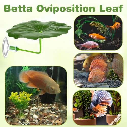 3 Pcs Betta Leaf Hammock, Betta Fish Leaf Hammock Soft Aquarium Decor Plastic Plants, Fish Tank Decoration for Sleeping Resting Hiding Playing