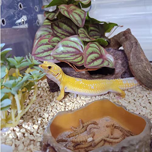 Reptile Plants for Terrarium Decor,Amphibian Habitat Decor,Artificial Plants for Gecko Chameleon Snake Tortoise Tank Accessories with Base (red Watermelon peperomia) - color: Red Watermelon Peperomia