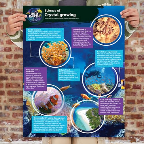 BBC Earth Grow & Discover Crystal Aquarium, Grow Colorful Cave-Like Crystal Formations Inside Reusable Tank, Magic Rocks, STEM Toys, Unique Crystal Growing kit, Science Experiments for Kids 6-8