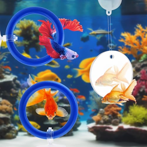 2pcs Bettas Fish Enrichment Toys Ring, with Mirror/Floating Ball, Exercise Floating Mirrors and Training Ring for Fish Tank, Aquarium Feeding Rings Accessories - color: blue