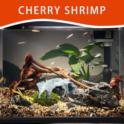 Aquarium Underground Tunnel Cave, Cave Fish Tank Decor, Fish Tank Decor Decoration, Breeding Shelter Decoration - size: Small