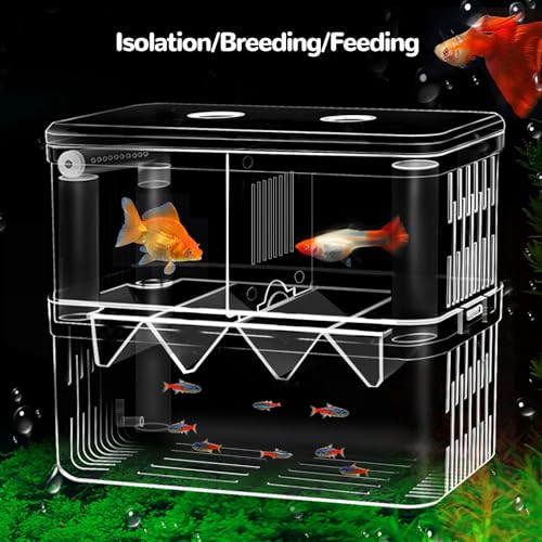 J-star Large Fish Breeder Box for Aquarium Tank, Acrylic Breeding Box for Guppy/Betta/Shrimp/Clownfish, Baby Fish Hatchery & Isolation Tank - size: Large