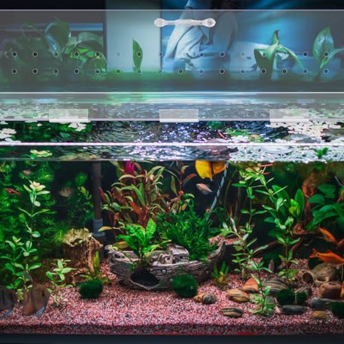 Sieral Aquarium Polycarbonate Canopy Set 15.37 x 7.63 x 0.12 Inch for 5 Gallon Without Center Brace Aquariums Cover Fish Tank Lid with a Hook Knife, Clear - color: Clear, size: 16 x 8 Inch