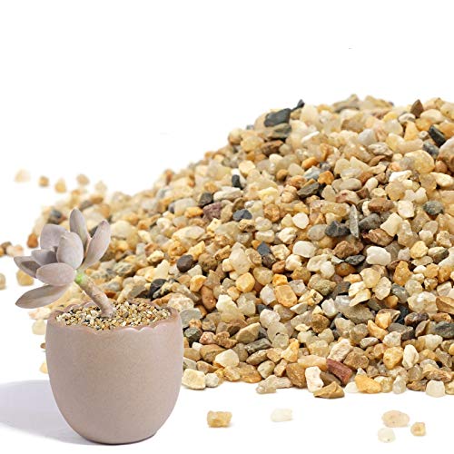 Coarse Sand Stone - Succulents and Cactus Bonsai DIY Projects Rocks, Decorative Gravel for Plants and Vases Fillers，Terrarium, Fairy Gardening, Natural Stone Top Dressing for Potted Plants. - size: 2 LB