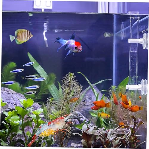 Feeder Aquarium Tank 1 Set of Shrimp with Dish, Acrylic Clear Shrimp Aquarium Fish Tank Feeder Dish Bowls for Crystal Shrimp Tropical Fish Auto Glass