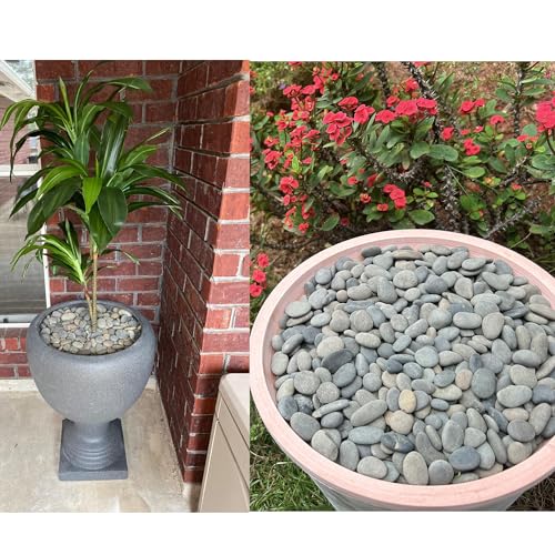 2.4LB River Rocks Mexican Beach Pebbles for Garden Landscape Stone Paving Stone Grey (1Inch) - size: 2.4LB, style: Medium