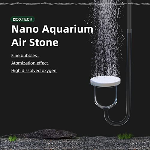 boxtech Aquarium Air Stone, Fish Tank Bubble Diffuser High Dissolved Oxygen Airstones for Air Pump Accessoriess with 1 Check Valve, 2 Suction Cup for Aquarium Pond Hydroponic - size: 1 inch