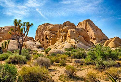 Leyiyi 5x3ft Joshua Tree National Park Photography Backdrop Western Sky Desert Cowboy Weathering Rock Drought-Tolerant Plant Cactus Terrarium Background Aquarium Wallpaper Polyester Photo Studio Prop - color: Desert3, size: 5x3ft-P