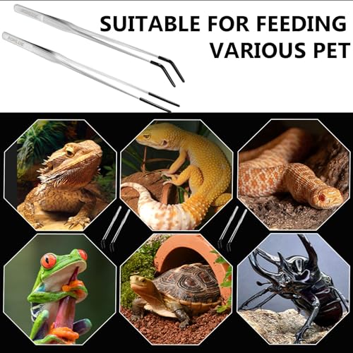 3 PACK Stainless Steel Reptile Feeding Tongs,10.62" Straight &Curved Long Feeding Tweezers&Bowl Set,Non Slip Feeding Tools with Rubber Tip,Bearded Dragon Tank Accessories (B-Silver) - color: B-silver