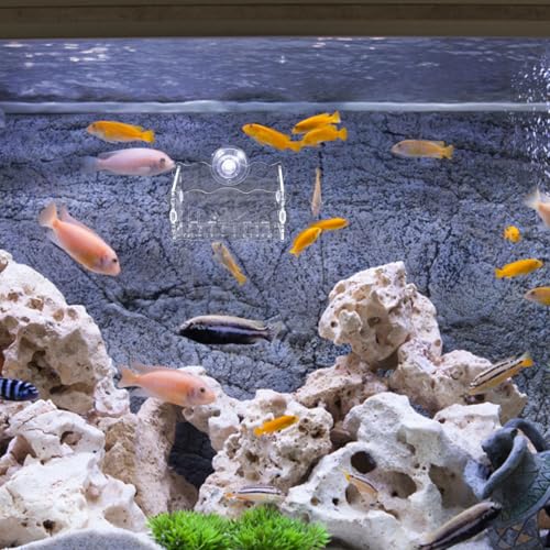 Aquatic Planter Cup Acrylic Fish Tank Planter Moss Holder for Aquarium Safe for Fish Creative Planting Cup Design