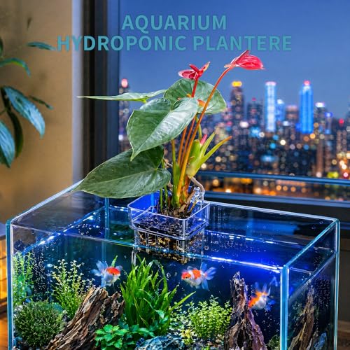 12 Pack Clear Aquarium Plant Holder Top Hanging for Fish Tank, Aquariums Planter Basket Pots for Aquatic Plants