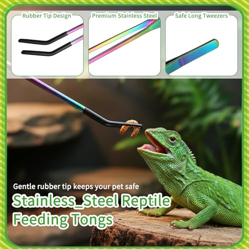 3PCS Stainless Steel Reptile Feeding Tongs Straight Curved Long Tweezers 10.6” Long Aquarium Reptile Tweezer Reptiles and Feeding Accessories Tweezer Feeder Tool for Aquarium Terrarium
