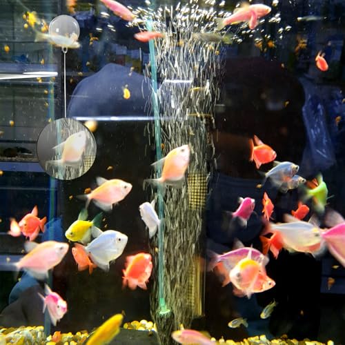 Beta Fish Aquariums Toys Set, 2 Training Rings and 1 Fish Mirror with Floating Ball, Plastic Aquarium Accessories for Fish Enrichment
