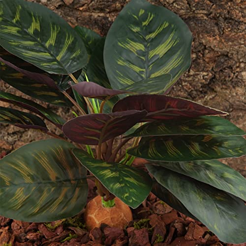 Reptile Terrarium Decor Plants, Bearded Dragon Tank Accessories fit Crested Gecko Leopard Lizard Chameleon Ball Python Snake Frog - Purple Fake Prayer Peacock Plants - color: D-purple Fake Prayer Peacock Plant