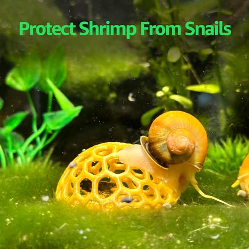 CTWPets Shrimp Dome Hide - Aquarium Cherry Shrimp Hide Cherry Shimpe Hide (White) - color: White