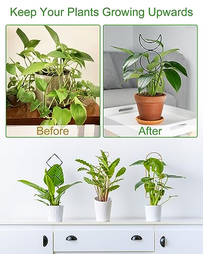 4 Pack Indoor Climbing Plant Trellis, Small Trellis for Potted Plants Outdoor, Metal Garden Trellis Plant Support Trellis with Different Patterns for Vine Ivy Flower (Black) - color: Black