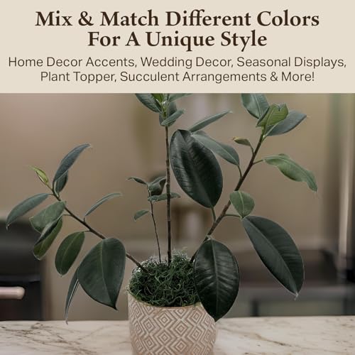 Preserved Spanish Moss - Decorative Dried Moss for Crafts, Home Decor, Art, Design & DIY Projects - for Indoor Use - Forest Green - Small Size - color: Forest Green, size: Small