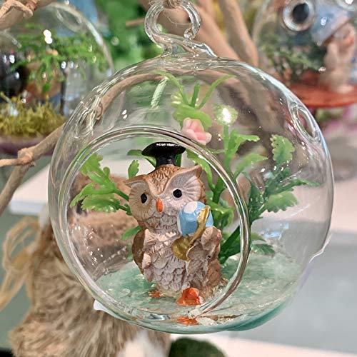 WGV Hanging Terrarium Globe, Width 3", Height 4", DIY Air Succulent Planter, Clear Glass Vase Orb with Flat Bottom, Candle Holder for Windowsill Outdoor Garden Decor, 6 Pieces Bulk - size: 3" Flat Bottom