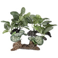 Aquarium Plastic Plants, Driftwood Betta Silk Plants, Silk Plants Aquarium Set Decor, Silk Aquarium Plants for Betta Fish (Green, 3pcs)
