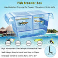 Fish Breeder Box Fish Hatchery Floating Fish Breeding Box with Removable Grating Perfect Fish Tank Divider for Agreesive Injured Pregnant Fishes - size: L