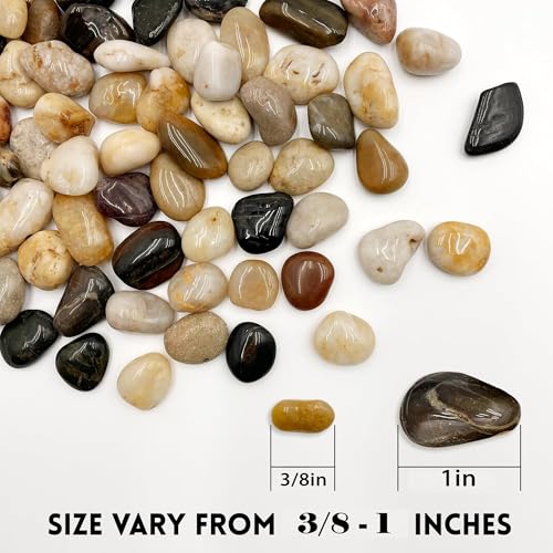 River Rocks Pebbles for Indoor Plants 3/8-1 Inch Natural Aquarium Gravel Decorative Fish Tank Rocks Garden Landscaping Decor - color: mixed, size: 1 LB