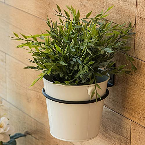 Plant Holder Ring 8 Inch Wall Mounted, 6 Pack Flower Pot Hangers Metal Plant Stand Hanging Bracket Basket Hooks - size: 8 inch-6 Pack