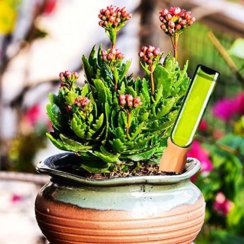Tcamp 8Pack Plant Self Watering Spikes, Terracotta Plant Watering Devices Wine Bottle Plant Self-Watering Stakes for Indoor Outdoor Plants - size: 8 Pack