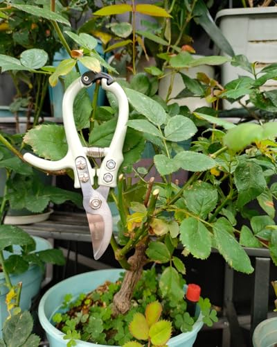 Fondwell 6" Gardening Shears Hand Pruners: Lightweight Garden Trimmers with Bypass Blades - Reliable Bonsai Cutters for Small Plants - style: 6" Curved